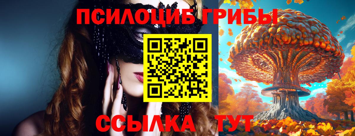 Коломна  Галлюциногенные грибы Cubensis  Вход с VPN  наркошоп  Галлюциногенные грибы прущие грибы 